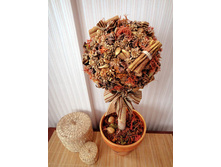 �������������� �������� ������