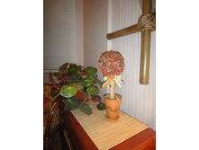 ����-������� 