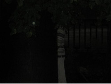 ����� ��������