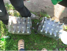 ��� ������ ������