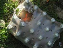 ������ ���