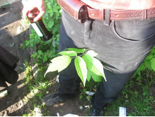 �������....��������..)