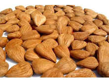 ���� ��������