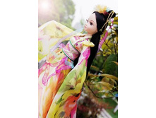 ���������  1313 ���.