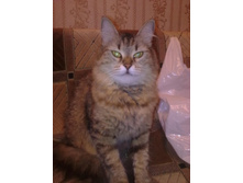 ����������� 032.jpg