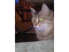 ����������� 041.jpg