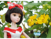 ������� 885 ���.