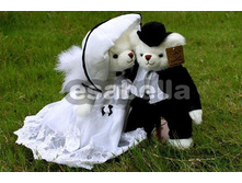 �����-����������  3165 ���.