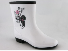 MPH_6658_�����_489 ���