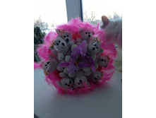 ����� �������