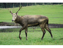 ����� ������!