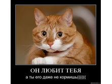 � �� ��� ���� �� ������� ....