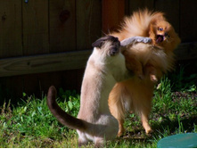 ��� �����!