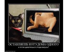 �� ���������� ���������� �����������!