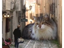 � �������? �� ���� ������ ...