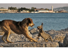 ����� ������!