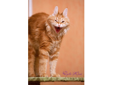 �����-�-�-�-��!