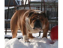 ��������� ���������� 285.jpg