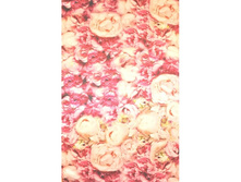 ���013 �������� - 990 ���.