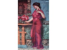 ���019 �������� - 990 ���.