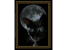 ������ ��� 1.png