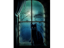 ������ ��� 3.png