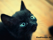 ������ ��� 5.png