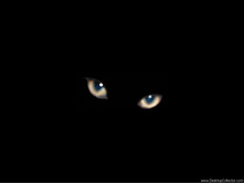 ������ ��� 8 - �����.png