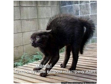 ������ ��� 9.png