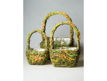 ����� �������� �����9_1.JPG