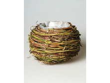 ����� �� �������1.JPG