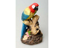 ����������� �������_�������.jpg