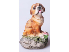 ����������� �������_�����.jpg