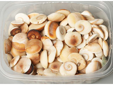 ����� �������2.jpg