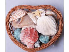 ����� �������4.jpg