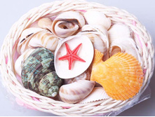 ����� �������6.jpg