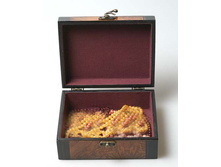 �������� �����_���.����.jpg