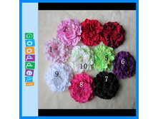 http://www.aliexpress.com/store/product/Free-Shipping-10-Colors-For-Your-Choose-4-8-Big-Baby-Flower-Rose-Flower-Hair-Clip/206224_592835589.html