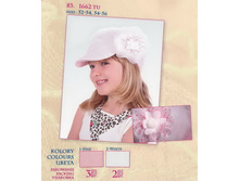 1662 ���� 260�