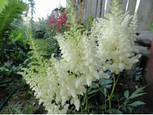 �������� ����� ������