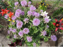 ������� ������-���������