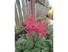 �������� �����