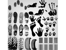 Footprints_vector1.jpg
