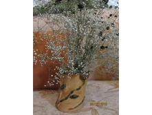 ���� ������������ �� ������