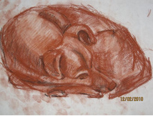 ��� ������. �������, �������, �����