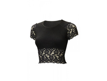 t250b0804, ������� �������� � ��������