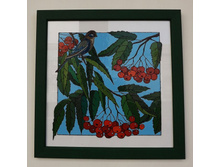 ����� ������