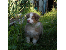 �������, 1���3���.jpg