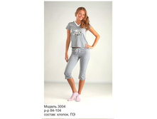 �������� �������   ��� ������: 3004