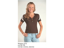 ������� �������   ��� ������: 2772